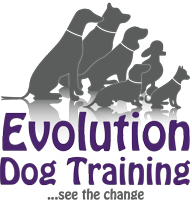 Evolution Dog Training Shop